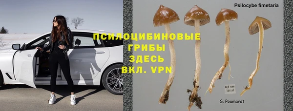 амф Киреевск