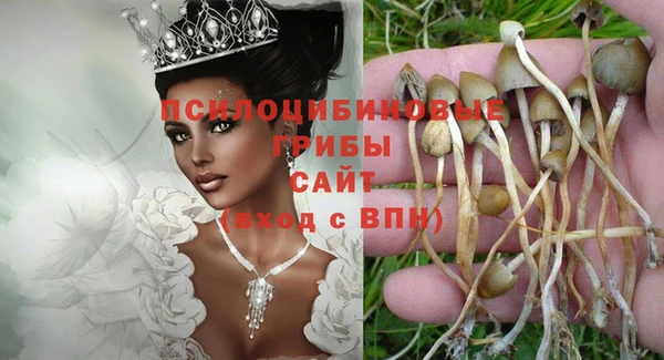 амф Киреевск