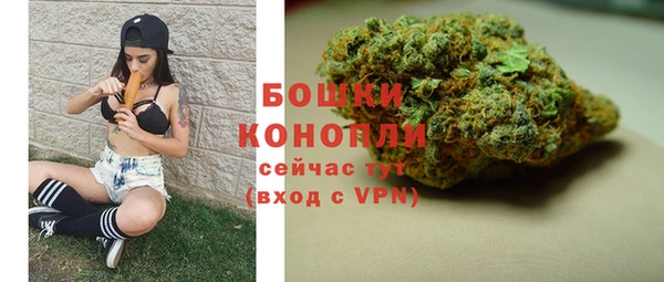 стаф Кинешма