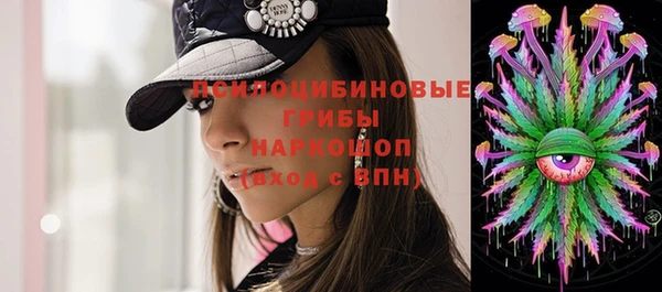трава Белая Холуница
